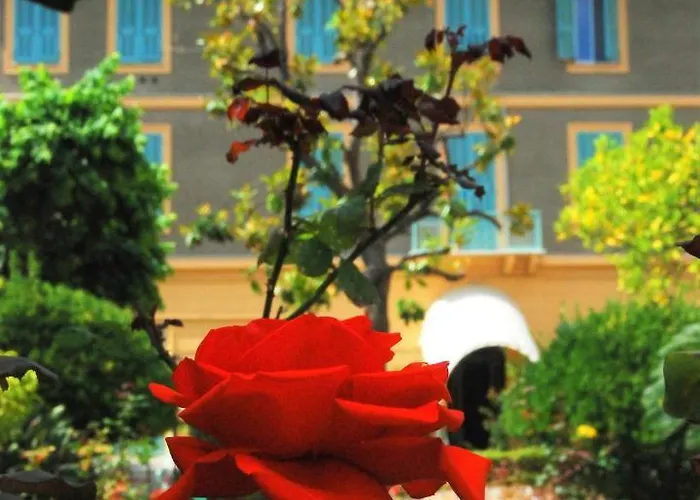 Sophia 3* Σαν Ρέμο